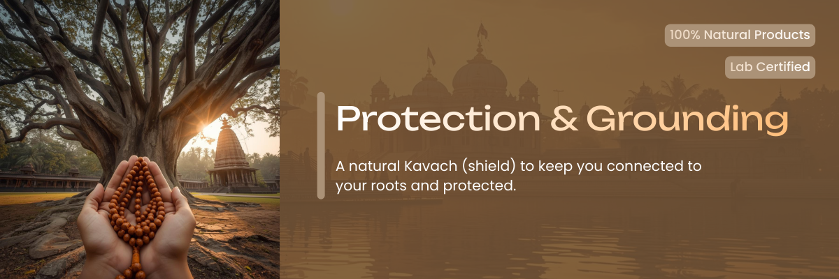 Protection & Grounding