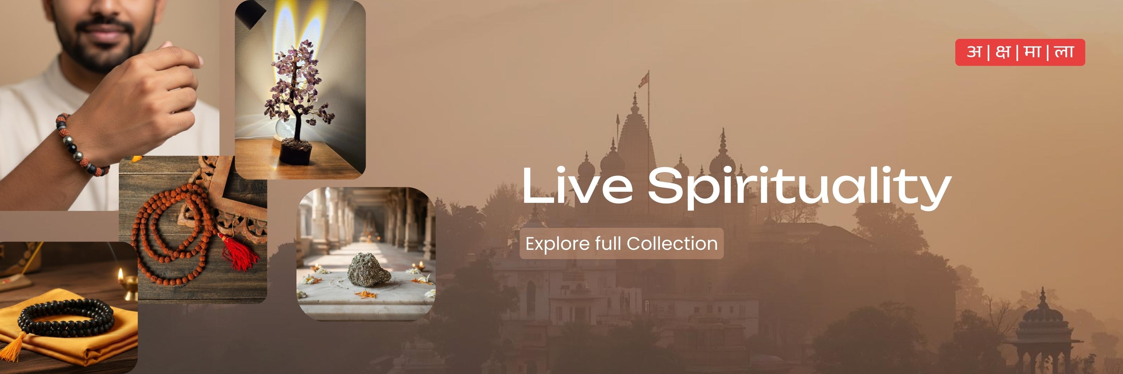 Explore Full Collection